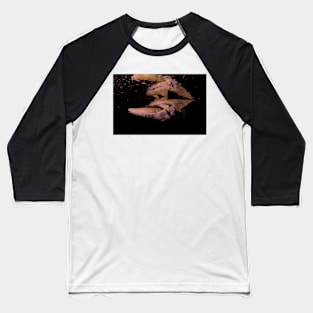 Nurse Sharks at Night dives Baseball T-Shirt